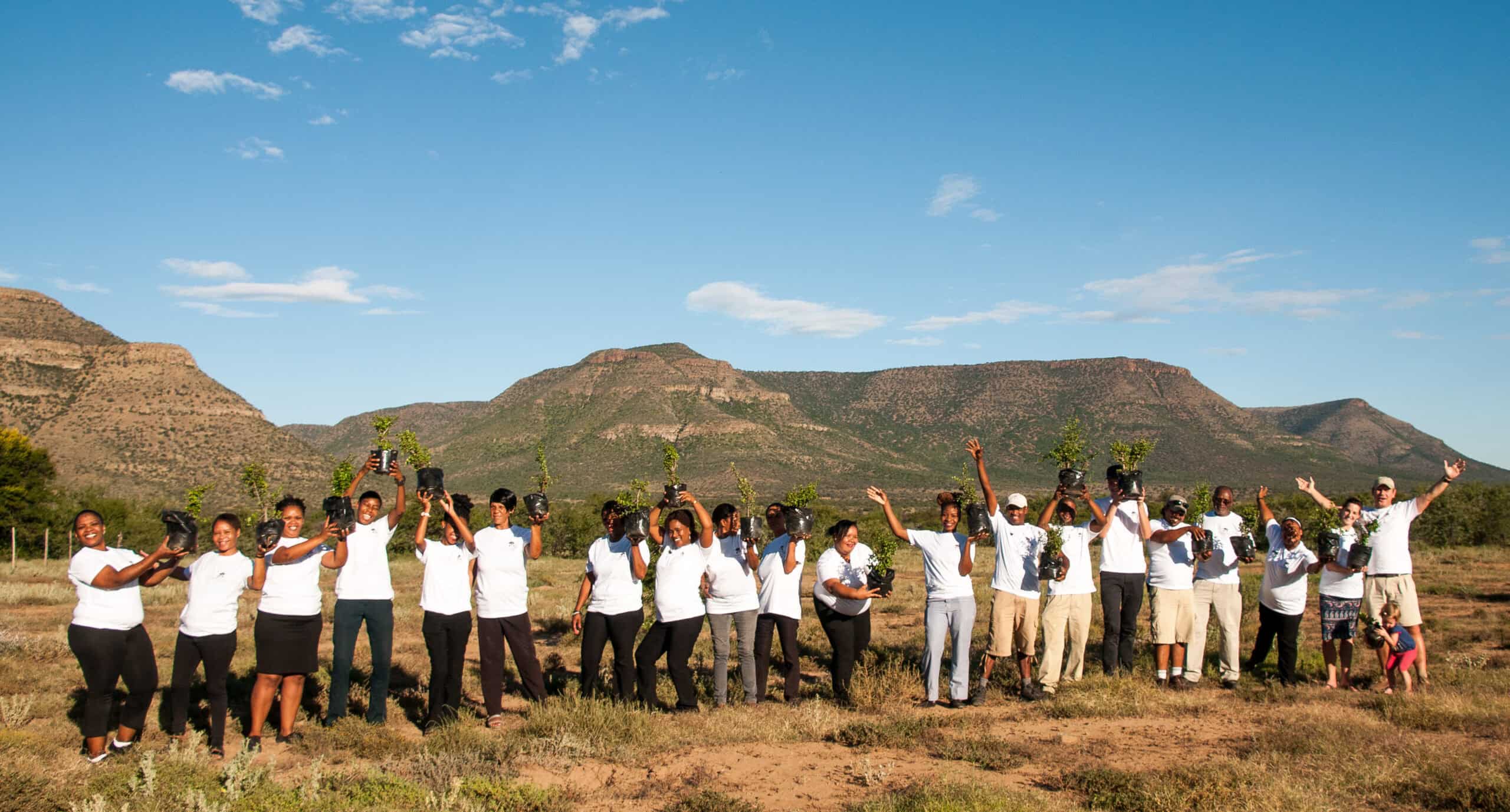 Spekboom planting, Samara Private Game Reserve, Great Karoo, South Africa