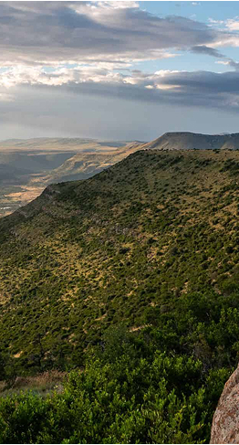 Karoo_Hilltop