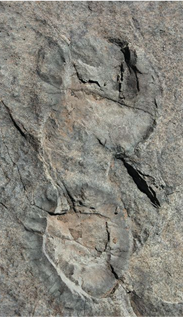 Karoo_Rock-art