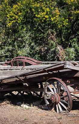 Karoo_Wagon