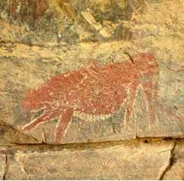 cheetah-rock-art-samara-karoo-reserve-e1751364805515